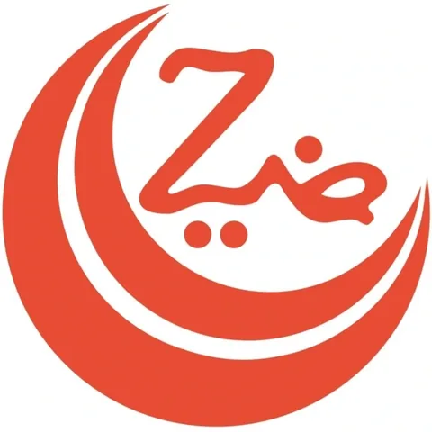 Ziauddin logo