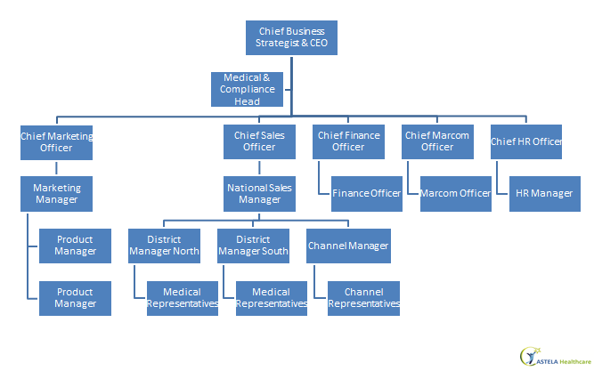 Team Structure